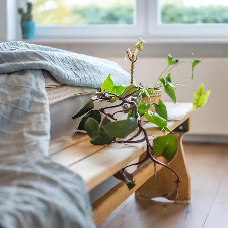 120qm, Cozy Apartment, Sehr Zentral Am Hbf, 3sz Koblenz (Rhineland-Palatinate)